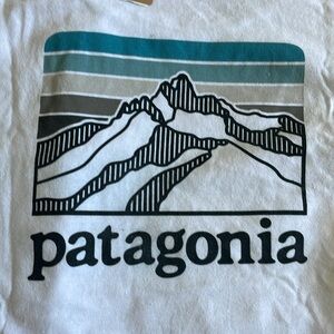 NWT Patagonia L Men’s Responsible Tee Line Logo Ridge Pocket